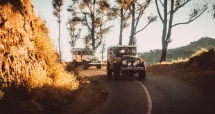 Transportasi Perjalanan Wisata ke Bromo, Ini Rute yang Dilalui