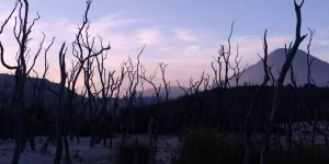 Itinerary Jakarta-Garut 2 Hari 1 Malam yang Wajib Dicoba