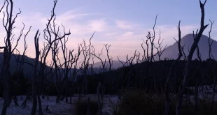 Itinerary Jakarta-Garut 2 Hari 1 Malam yang Wajib Dicoba