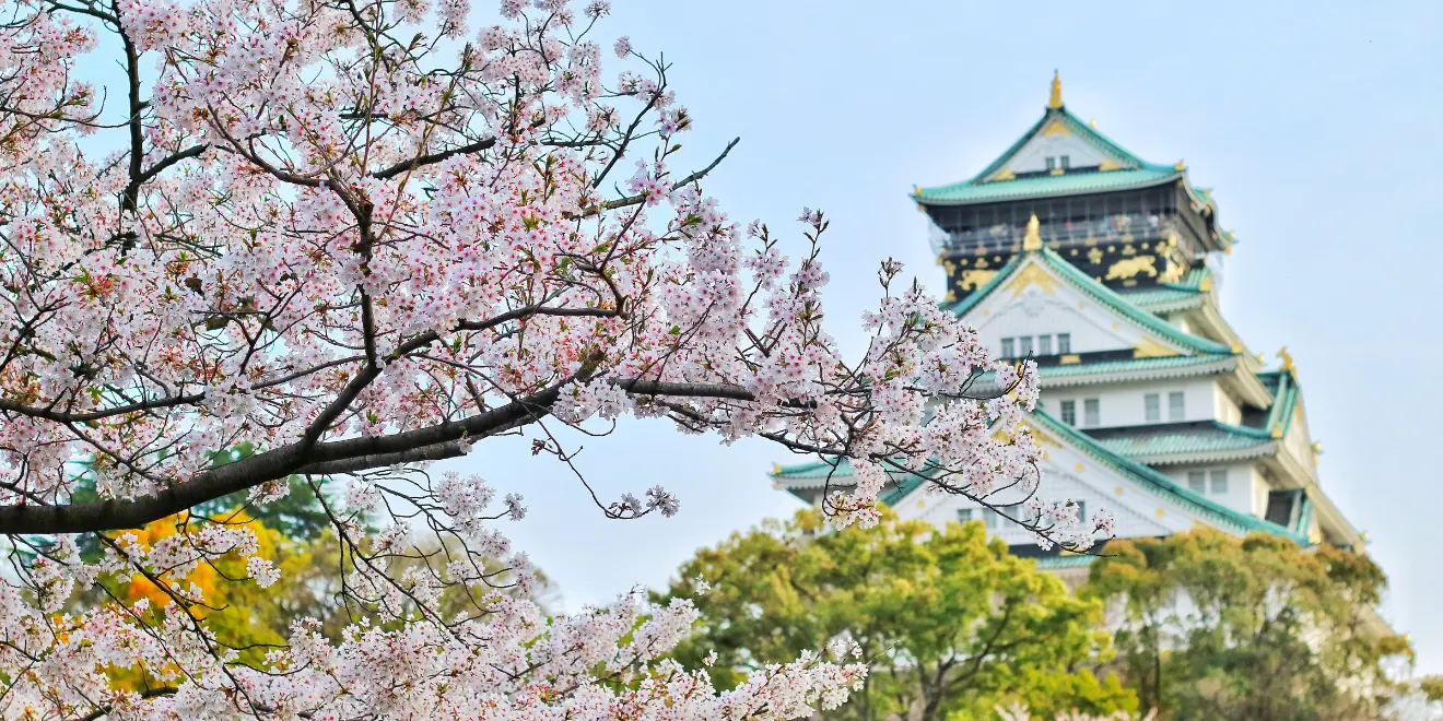 Tips berlibur ke Jepang