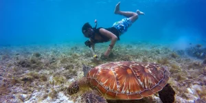 itinerary ke kepulauan seribu