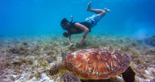 itinerary ke kepulauan seribu
