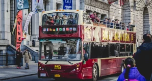 memilih jasa transportasi