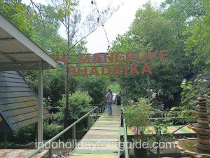 IndoHolidayTourGuide | Taman Wisata Mangrove Bhadrika Bengkulu