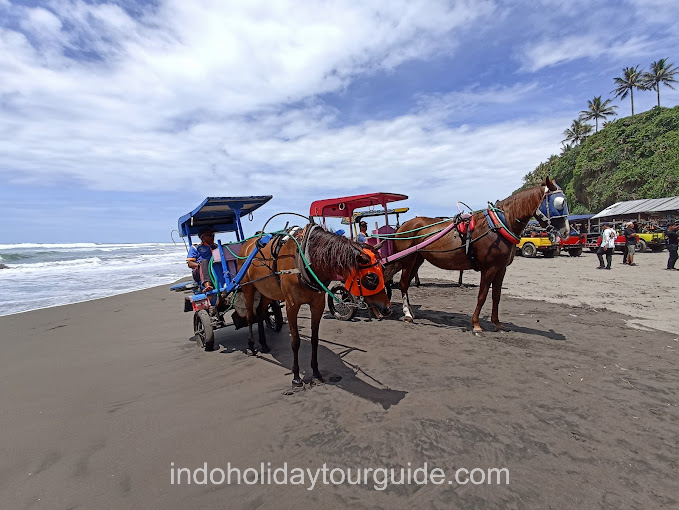 IndoHolidayTourGuide | Indahnya Pantai Parangendog, Wisata Bahari Asri Di Gunungkidul