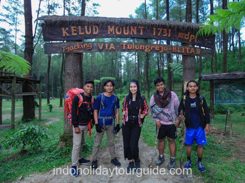 IndoHolidayTourGuide | Hutan Pinus Loji Lereng Kelud, Wisata Sejuk