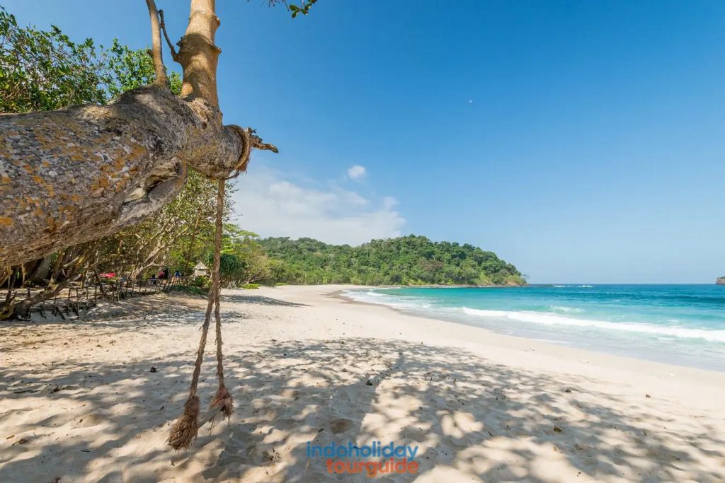 IndoHolidayTourGuide | Pantai Sendiki Malang : Harga Tiket, Lokasi, Daya Tarik