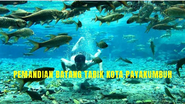 IndoHolidayTourGuide | Review Pemandian Batang Tabik Kota Payakumbuh Sumatera Barat