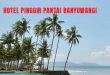 hotel pinggir pantai banyuwangi