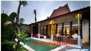 IndoHolidayTourGuide | Review 7 Hotel Yang Ada Kolam Renang Pribadi. Nomor 6 Paling Dalam Airnya