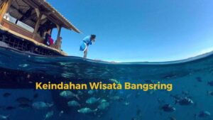 IndoHolidayTourGuide | Review Wisata di Banyuwangi yang Lagi Hits. Nomor 12 Terbesar