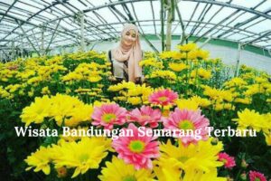 IndoHolidayTourGuide | 10 Wisata Bandungan Semarang Terbaru. Nomor 9 Paling Top