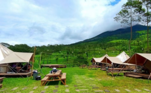 IndoHolidayTourGuide | Penginapan di telaga warna dieng, Termurah