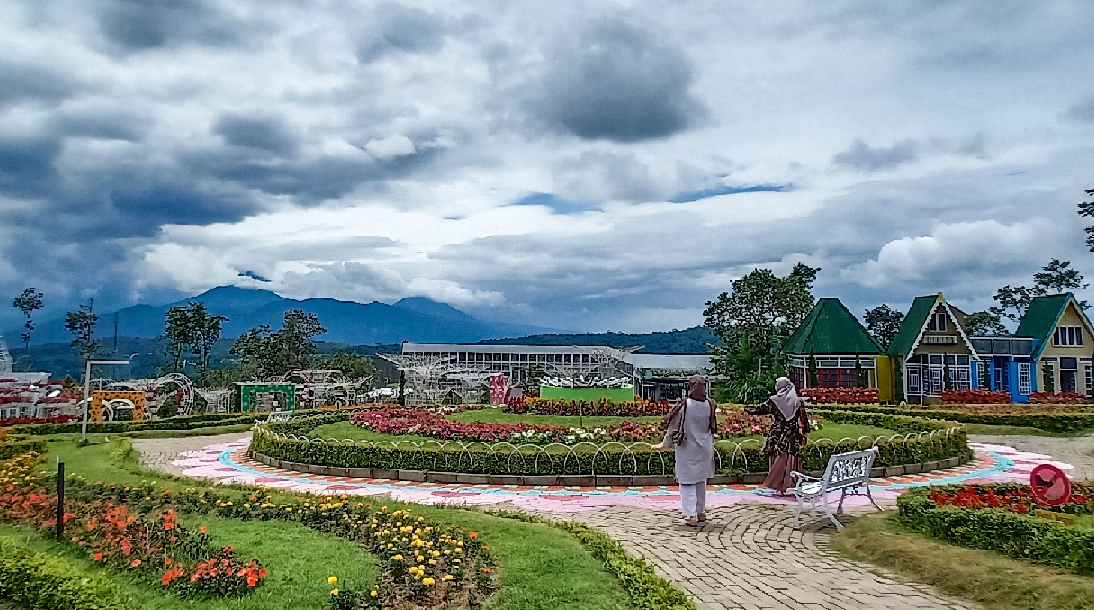 IndoHolidayTourGuide | Wisata Taman Bunga Celosia Dieng Wonosobo