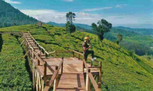 IndoHolidayTourGuide | 10 Tempat Wisata pangalengan bandung